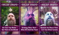 Brief Snaps