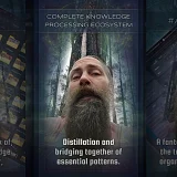 Insight Looming Works - A Knowledge Processing Ecosystem (N003)