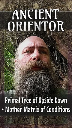 Primal Tree of Upside Down • Mother Matrix of Conditions (AO002)