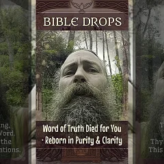 Word of Truth Died for You · Reborn in Purity & Clarity (BD001)