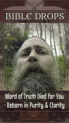 Word of Truth Died for You · Reborn in Purity & Clarity (BD001)