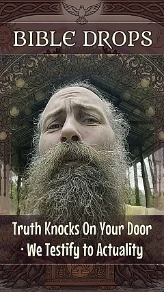 Truth Knocks On Your Door · We Testify to Actuality (BD003)