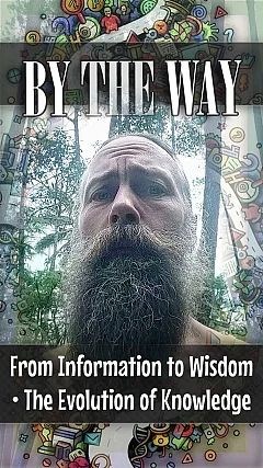 From Information to Wisdom • The Evolution of Knowledge (BTW014)