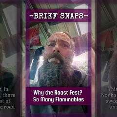 Why the Roast Fest — So Many Flammables (BZ006)