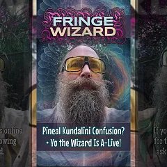 Pineal Kundalini Confusion? • Yo the Wizard Is A-Live! (FW000)