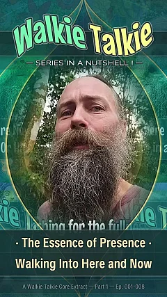 The Essence of Presence · Walking Into Here and Now • Walkie Talkie (IN001)