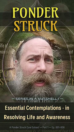 Essential Contemplations · in Resolving Life and Awareness | Ponder Struck (IN002)