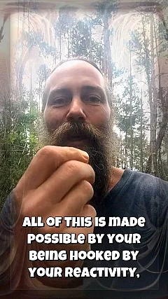 Like This Not That — Reactive You Are Deceived (K017)