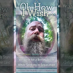 We Wish for a Better World While Seeking in Separation • Oh How I Wish (KDOW01)