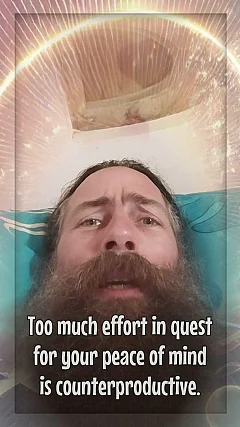 The Nest of Your Mind — Not You, Stop Meddling! (LA003)