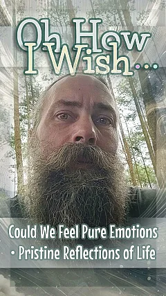 Could We Feel Pure Emotions • Pristine Reflections of Life (OW003)