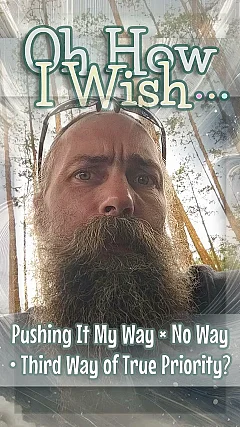 Pushing It My Way or No Way • Third Way of True Priority?