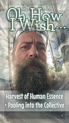 Harvest of Human Essence • Pooling into the Collective (OW007)