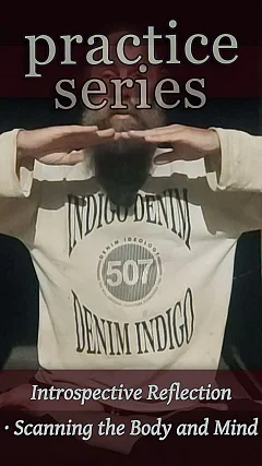 Introspective Reflection — Scanning the Body and Mind (P004)