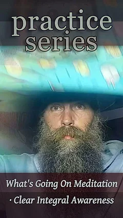 What's Going On Meditation — Clear Integral Awareness (P008)