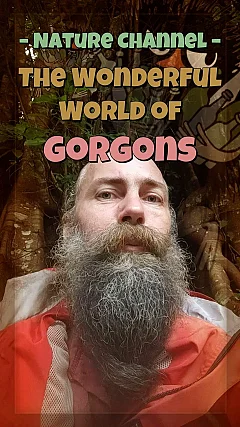 Nature Channel — The Wonderful World of Gorgons (PK005)
