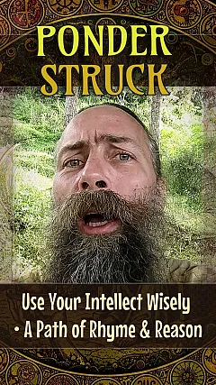 Use Your Intellect Wisely • A Path of Rhyme & Reason (PS006)