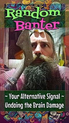 Your Alternative Signal — Undoing the Brain Damage (RB001)