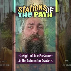 Insight of Raw Presence • As the Automaton Awakens (SP001)