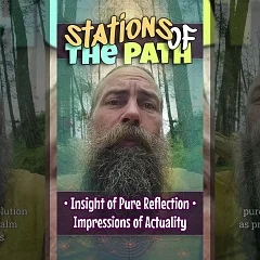 Insight of Pure Reflection • Impressions of Actuality (SP003)