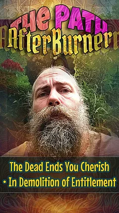 The Dead Ends You Cherish • In Demolition of Entitlement (TPA001)