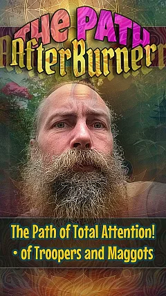 The Path of Total Attention! of Troopers and Maggots (TPA003)