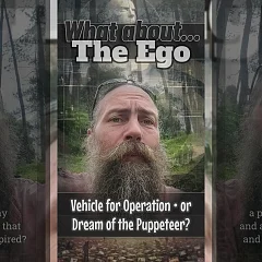 What About The Ego: Vehicle for Operation or Dream of the Puppeteer? (WA001)