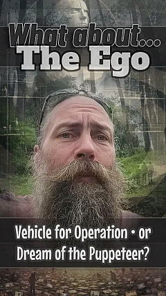 What About The Ego: Vehicle for Operation or Dream of the Puppeteer? (WA001)