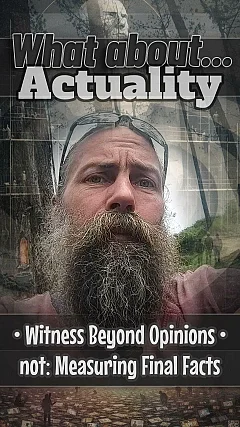 What About Actuality: Witness Beyond Opinions • not Measuring Final Facts (WA002)