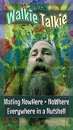 Mating NowHere and NoWhere — Everywhere in a Nutshell (WT003)