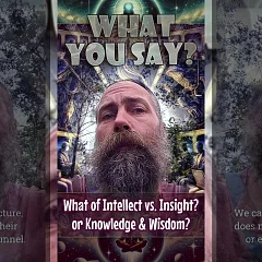 What of Intellect vs. Insight? or Knowledge & Wisdom? (WYS004)