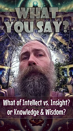 What of Intellect vs. Insight? or Knowledge & Wisdom? (WYS004)