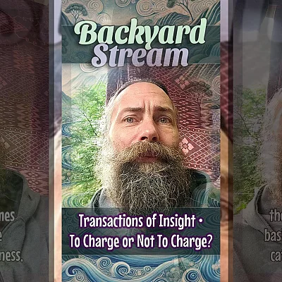 Transactions of Insight • To Charge or Not To Charge? (BS006)