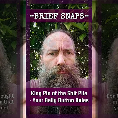 King Pin of the Shit Pile ยท Your Belly Button Rules (BZ009)