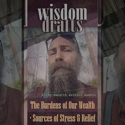 The Burdens of Our Wealth · Sources of Stress & Relief (WD024)