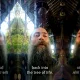Tree of Life and Abstract Myths (K004)