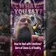 How to Deal with Emotions? Born of Ideas & of Reality (WYS003)