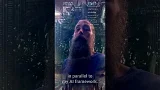 Kernel Talks - Tree of Life and Abstract Myths (K004)