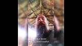 Kernel Talks - Cognitive Wilderness Core Toolkit (K006)