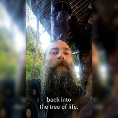 Kernel Talks - Tree of Life and Abstract Myths (K004)