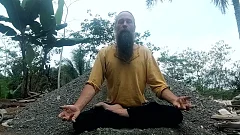 Meditation Walkthrough - Fields of Sound and Breath (P005)